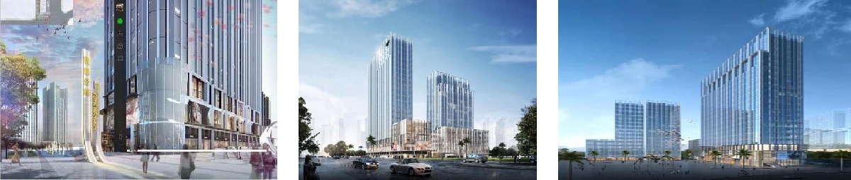 深圳分公司