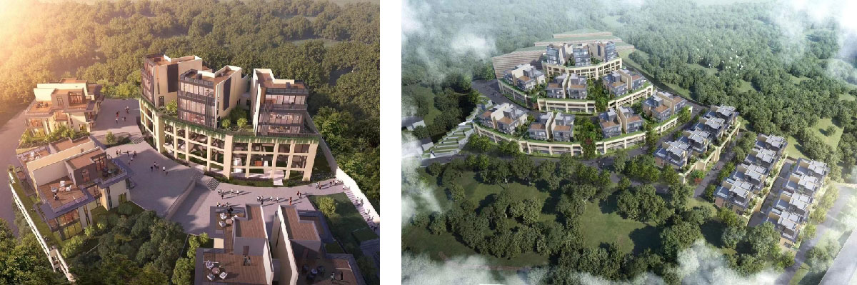 深圳分公司
