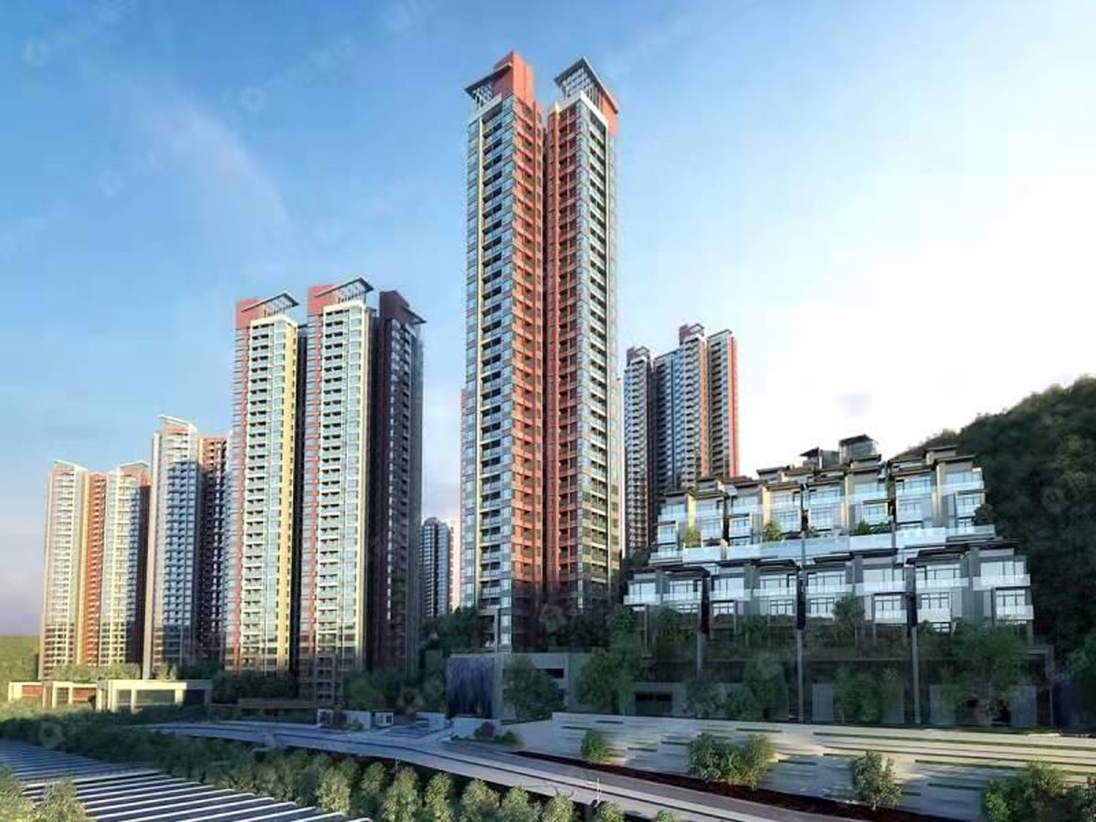 深圳分公司