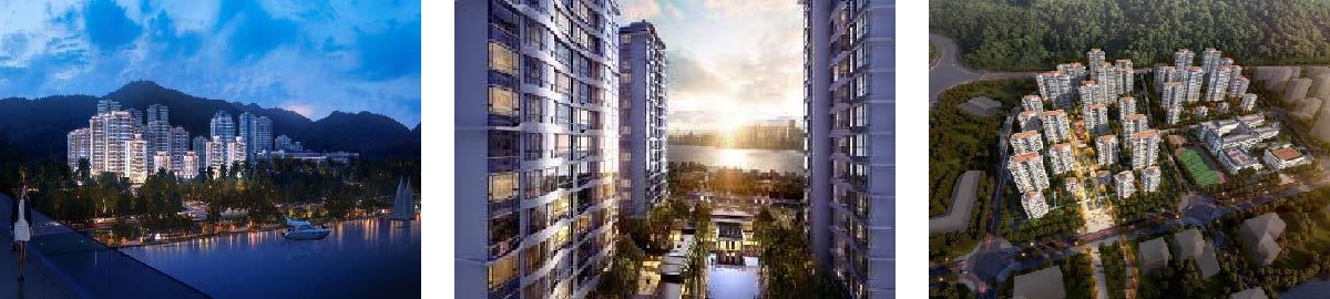 深圳分公司