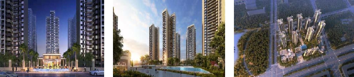 深圳分公司